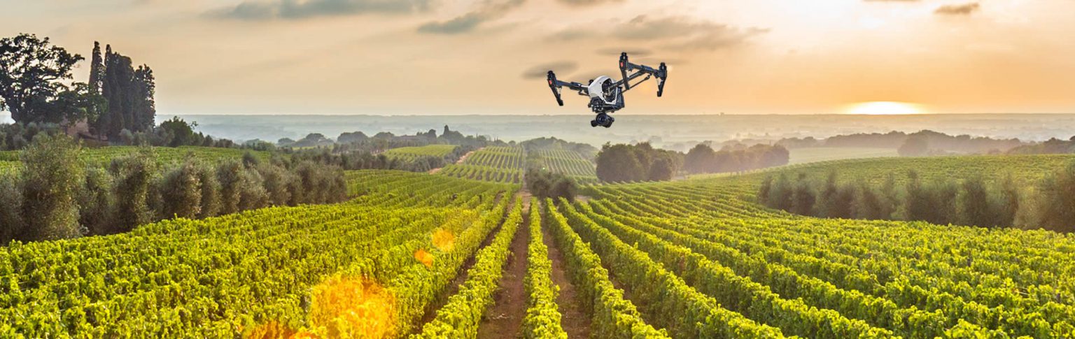 crop-monitoring-analysis-green-innovations